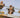 Arc Raiders Hits Big Numbers in Steam Playtest