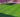 Football Manager 26 Can Run on Old PCs: Easy System Requirements Explained