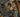 Half Life 2 Patch Fixes Teleporter Bug and Makes Train Escape Easier