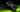 Advanced Shader Delivery sur NVIDIA RTX : image de presse officielle de la GeForce RTX 5090 de NVIDIA
