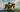 How Black Mixture Uses Generative AI and NVIDIA RTX for Creative Visuals