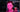 Three Reasons Quarantine Zone Became a TikTok Hit