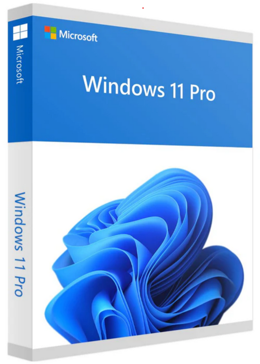 Clé OEM Windows 11 Professionnel